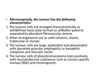 • Microscopically, the tumour has the following
characteristics:
1. The tumour cells are arranged characteristically as
welldefined nests (also termed as zellballen pattern)
separated by abundant fibrovascular stroma.
2. Other arrangements are as solid columns, sheets,
trabeculae or clumps.
3. The tumour cells are large, polyhedral and pleomorphic
with abundant granular amphophilic or basophilic
cytoplasm and vesicular nuclei.
4. The tumour cells of pheochromocytoma stain positively
with neuroendocrine substances such as neuron-specific
enolase (NSE) and chromogranin.
 