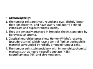 • Microscopically:
1. The tumour cells are small, round and oval, slightly larger
than lymphocytes, and have scanty and poorly-defined
cytoplasm and hyperchromatic nuclei.
2. They are generally arranged in irregular sheets separated by
fibrovascular stroma.
3. Classical neuroblastomas show Homer-Wright’s rosettes
(pseudorosettes) which have a central fibrillar eosinophilic
material surrounded by radially arranged tumour cells.
4. The tumour cells stain positively with immunohistochemical
markers such as neuron-specific enolase (NSE),
neurofilaments (NF) and chromogranin.
 