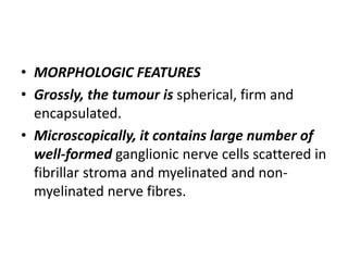 • MORPHOLOGIC FEATURES
• Grossly, the tumour is spherical, firm and
encapsulated.
• Microscopically, it contains large number of
well-formed ganglionic nerve cells scattered in
fibrillar stroma and myelinated and non-
myelinated nerve fibres.
 