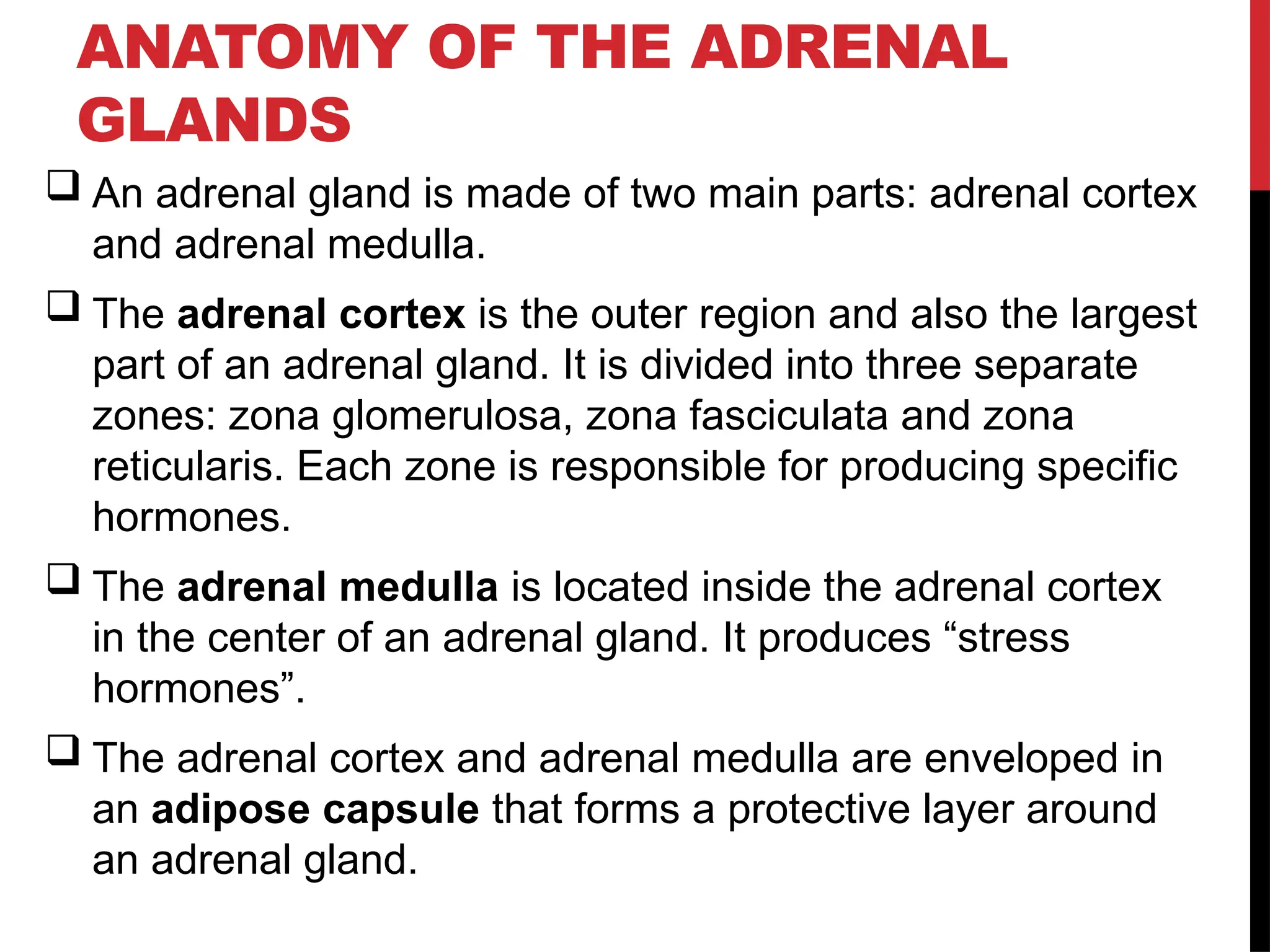 Adrenal Gland, Hormones of the Adrenal Gland.pptx