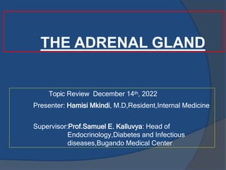 THE ADRENAL GLAND
Topic Review December 14th, 2022
Presenter: Hamisi Mkindi, M.D,Resident,Internal Medicine
Supervisor:Prof.Samuel E. Kalluvya: Head of
Endocrinology,Diabetes and Infectious
diseases,Bugando Medical Center
 