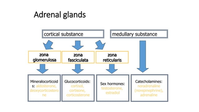 Adrenal gland diseases,Cushing syndrome,Addison disease and ...