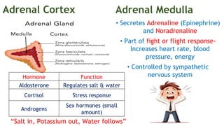 overview of adrenal gland disorders .pdf