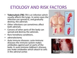 ETIOLOGY AND RISK FACTORS
• Tuberculosis (TB) :TB is an infection which
  usually affects the lungs. In some cases the
  infection can spread to, and gradually
  destroy, the adrenals
• Other infections can sometimes affect
  both adrenals.
• Cancers of other parts of the body can
  spread and destroy the adrenals.
• Rare hereditary conditions.
• adrenalectomy
• Auto immune diseases: auto-immune
  diseases the immune system makes
  antibodies against part or parts of the
  body. In auto-immune Addison's disease,
  you make antibodies which attach to cells
  in the adrenal cortex
 