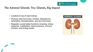 Common Signs and Symptoms of Adrenal Gland Disorders | PDF