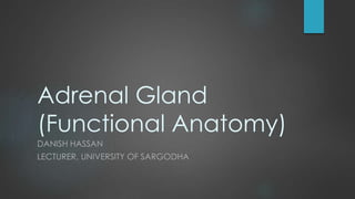 Adrenal Gland
(Functional Anatomy)
DANISH HASSAN
LECTURER, UNIVERSITY OF SARGODHA
 