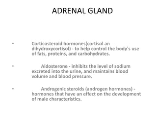 ADRENAL GLAND
• Corticosteroid hormones(cortisol an
dihydroxycortisol) - to help control the body's use
of fats, proteins, and carbohydrates.
• Aldosterone - inhibits the level of sodium
excreted into the urine, and maintains blood
volume and blood pressure.
• Androgenic steroids (androgen hormones) -
hormones that have an effect on the development
of male characteristics.
 