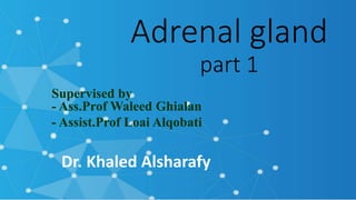 Adrenal gland
part 1
Dr. Khaled Alsharafy
Supervised by
- Ass.Prof Waleed Ghialan
- Assist.Prof Loai Alqobati
 