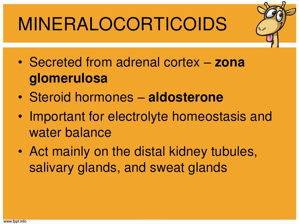 adrenal glands psychology definition adrenal glands psychology definition