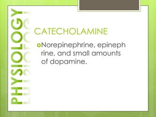 CATECHOLAMINE
Norepinephrine,  epineph
 rine, and small amounts
 of dopamine.
 