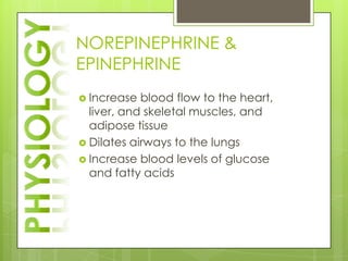 NOREPINEPHRINE &
EPINEPHRINE
 Increase  blood flow to the heart,
  liver, and skeletal muscles, and
  adipose tissue
 Dilates airways to the lungs
 Increase blood levels of glucose
  and fatty acids
 