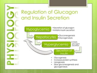 Regulation of Glucagon
and Insulin Secretion
                     •Secretion of glucagon
  Hypoglycemia       •Inhibits insulin secretion

                           •Gluconeogenesis
      Hepatocytes          •Glycogenolysis

                                           • Inhibits
           Hyperglycemia                     glucagon
                                             secretion


                         Secretion of
                            insulin
                 •    Glycogenesis
                 •    Increase protein synthesis
                 •    Lipogenesis
                 •    Slow gluconeogenesis and
                      glycogenolysis
 