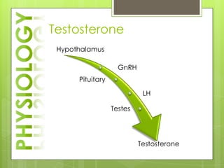 Testosterone
 Hypothalamus

                    GnRH
      Pituitary

                            LH

                  Testes




                           Testosterone
 