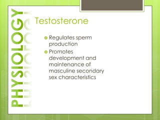 Testosterone
   Regulates sperm
    production
   Promotes
    development and
    maintenance of
    masculine secondary
    sex characteristics
 