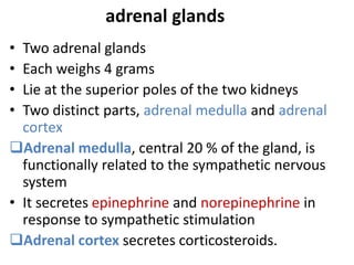 adrenal glands
• Two adrenal glands
• Each weighs 4 grams
• Lie at the superior poles of the two kidneys
• Two distinct parts, adrenal medulla and adrenal
cortex
Adrenal medulla, central 20 % of the gland, is
functionally related to the sympathetic nervous
system
• It secretes epinephrine and norepinephrine in
response to sympathetic stimulation
Adrenal cortex secretes corticosteroids.
 
