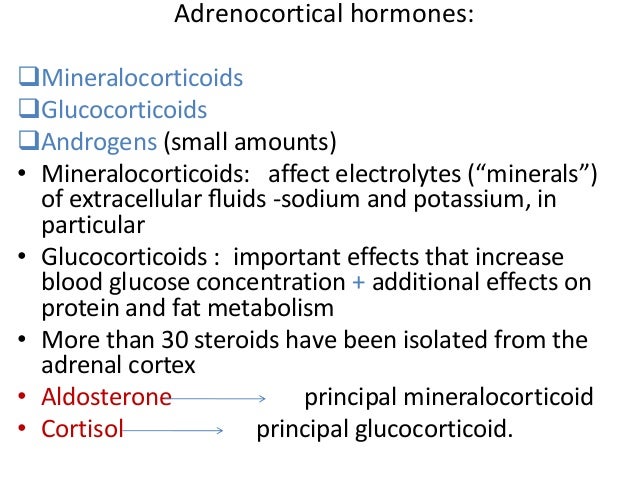 most important glucocorticoid secreted by the adrenal cortex