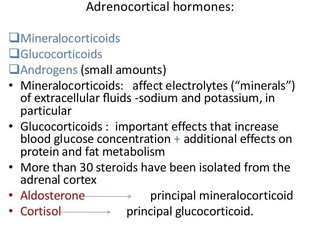 glucocorticoids adrenal cortex