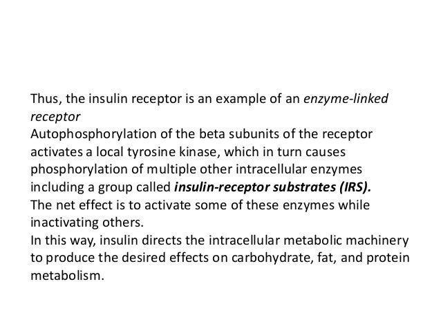 Adrenal glands