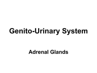Genito-Urinary System
Adrenal Glands
 