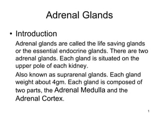 Adrenal Gland Functions Disorders