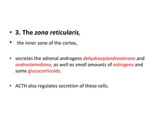 Zona Reticularis adrenal glands.pptx