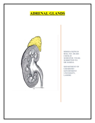 ADRENAL GLANDS
RIMSHA RIZWAN
ROLL NO: 206-BH-
CHEM-20
SEMESTER: VII (M)
SUBMITTED TO:
DR SAMINA
DEPARTMENT OF
CHEMISTRY
GOVERNMENT
UNIVERSITY,
LAHORE
 