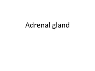 Adrenal gland
 