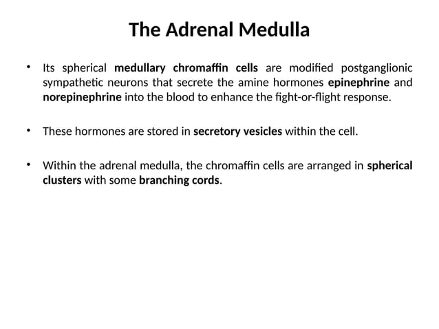 adrenal-glands-by-group6-for-discovery-pptx