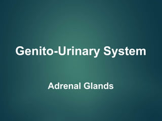 Genito-Urinary System
Adrenal Glands
 