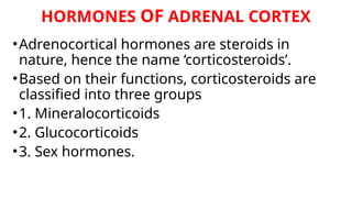HORMONES OF ADRENAL CORTEX
•Adrenocortical hormones are steroids in
nature, hence the name ‘corticosteroids’.
•Based on their functions, corticosteroids are
classified into three groups
•1. Mineralocorticoids
•2. Glucocorticoids
•3. Sex hormones.
 