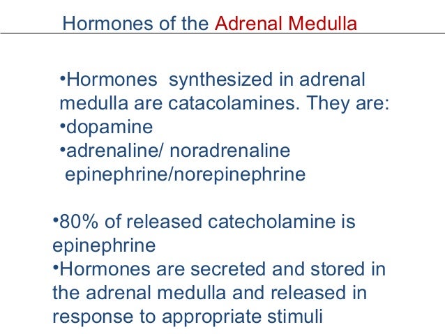 adrenaline is released from the adrenal medulla adrenaline is released from the adrenal medulla