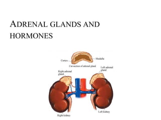 ADRENAL GLANDS AND
HORMONES
 