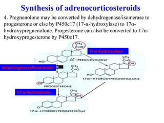 Adrenal hormones | PPT