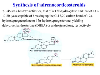 Adrenal hormones | PPT