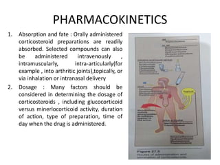 gabapentin topical absorption