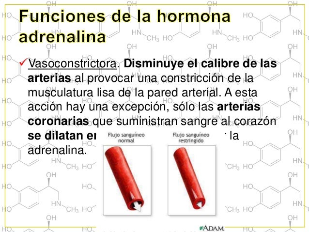 Adrenalina