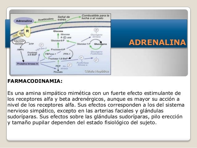 Adrenalina