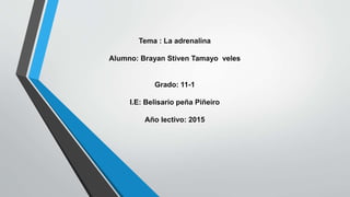 Tema : La adrenalina
Alumno: Brayan Stiven Tamayo veles
Grado: 11-1
I.E: Belisario peña Piñeiro
Año lectivo: 2015
 