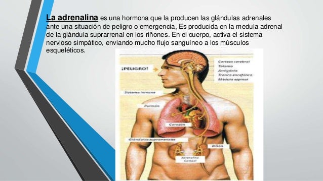 Adrenalina