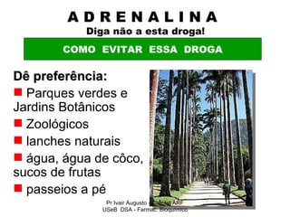 A D R E N A L I N A    Diga não a esta droga! Dê preferência: Parques verdes e Jardins Botânicos Zoológicos lanches naturais água, água de côco, sucos de frutas passeios a pé COMO  EVITAR  ESSA  DROGA Pr Ivair Augusto - Distrital ARF USeB  DSA - Farmac. Bioquímico 