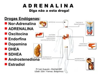 A D R E N A L I N A    Diga não a esta droga! Drogas Endógenas : Nor-Adrenalina ADRENALINA Oxcitocina Endorfina Dopamina DHEA SDHEA Androstenediona Estradiol Pr Ivair Augusto - Distrital ARF USeB  DSA - Farmac. Bioquímico 