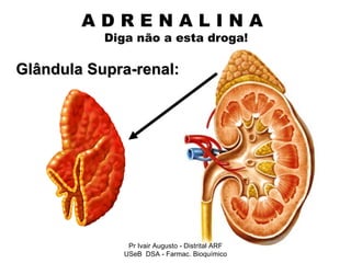 A D R E N A L I N A    Diga não a esta droga! Glândula Supra-renal: Pr Ivair Augusto - Distrital ARF USeB  DSA - Farmac. Bioquímico 