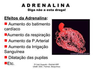A D R E N A L I N A    Diga não a esta droga! Efeitos da Adrenalina : Aumento do batimento cardíaco Aumento da respiração Aumento da P.Arterial Aumento da Irrigação Sanguínea Dilatação das pupilas Etc. Pr Ivair Augusto - Distrital ARF USeB  DSA - Farmac. Bioquímico 