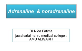 Adrenaline & noradrenaline
Dr Nida Fatima
jawaharlal nehru medical college ,
AMU ALIGARH
 