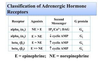 Classification of Adrenergic Hormone
Receptors
Receptor Agonists
Second
Messenger
G protein
alpha1 (1) NE > E IP3/Ca2+; D...