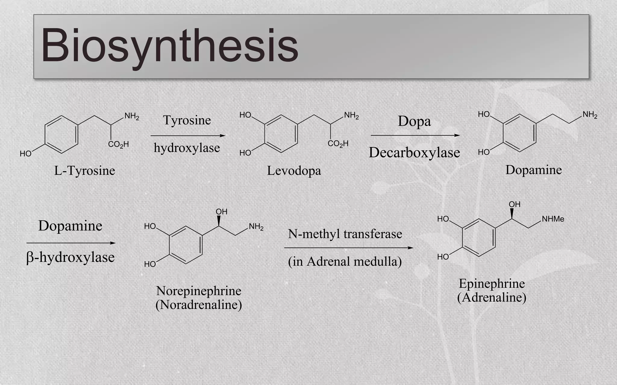 Adrenaline \u0026 Nor-adrenaline | PPTX, image size:2048x1280