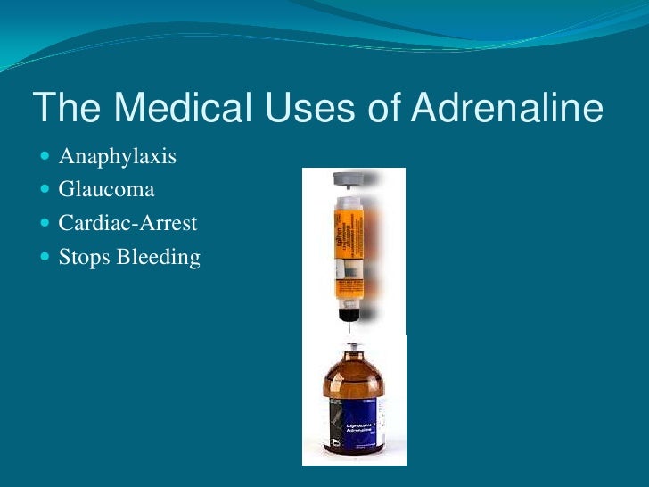 Period3 My Dang The Positive Effects of Adrenaline