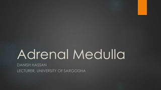 Adrenal Medulla
DANISH HASSAN
LECTURER, UNIVERSITY OF SARGODHA
 
