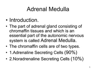 Adrenal Medulla
• Introduction.
• The part of adrenal gland consisting of
chromaffin tissues and which is an
essential part of the autonomic nervous
system is called Adrenal Medulla.
• The chromaffin cells are of two types.
• 1.Adrenaline Secreting Cells (90%)
• 2.Noradrenaline Secreting Cells (10%)
1
 