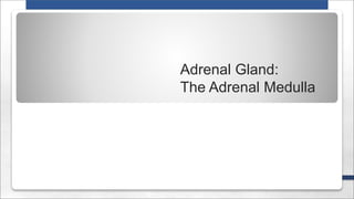 Adrenal Gland:
The Adrenal Medulla
 